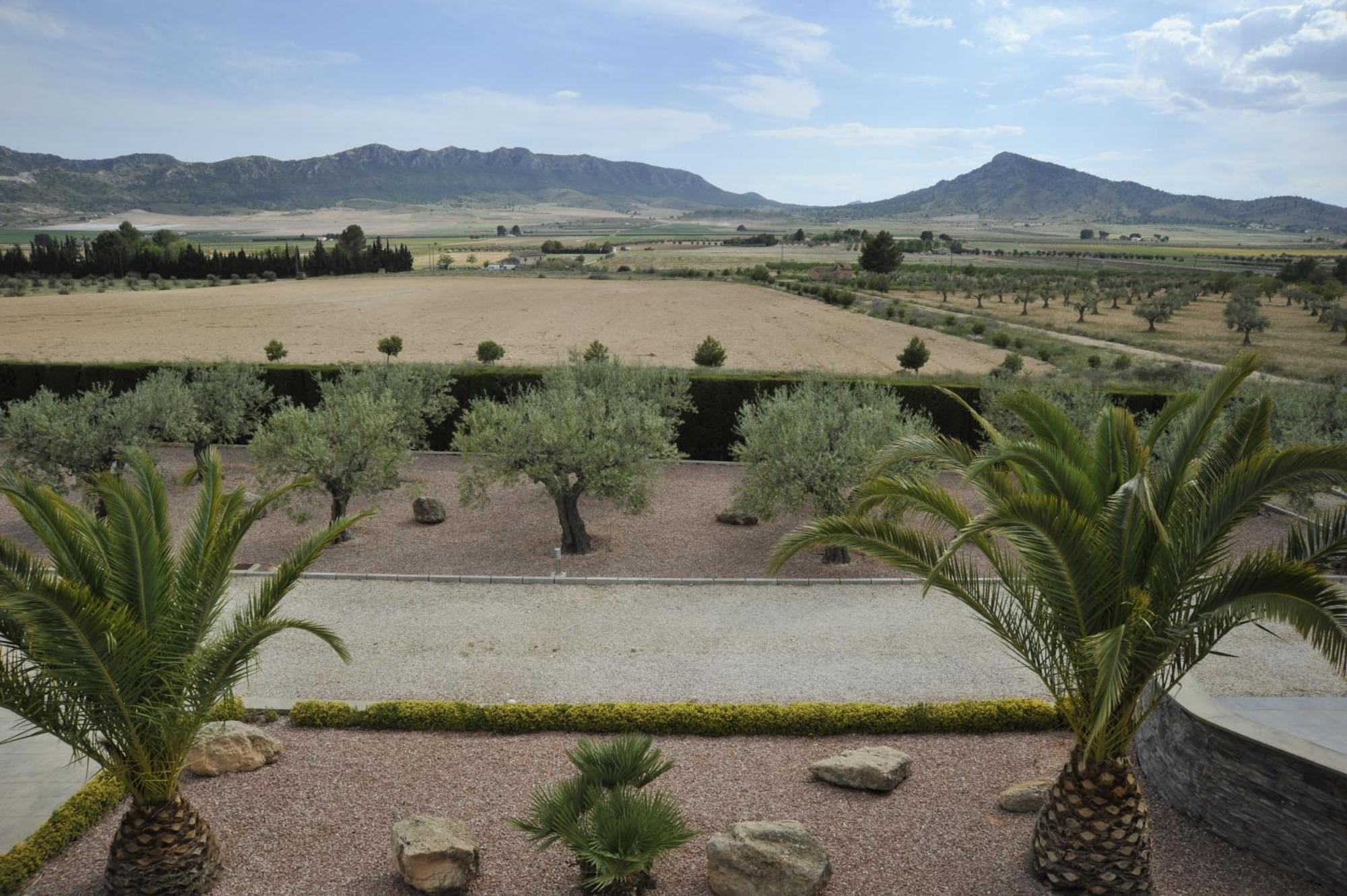 Villa Campo Premium Yecla Eksteriør billede